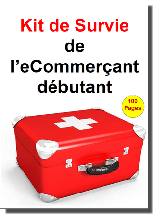 5 conseils pour bien débuter dans l'eCommerce - René Cotton Wizishop 3