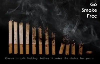 Plus de 90 publicités pour la bonne cause... 111