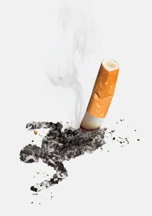 Plus de 90 publicités pour la bonne cause... 14