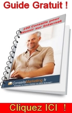 100 conseils pour réussir sur le Web