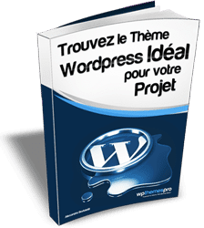 Wordpress, un CMS parmi les plus performants du marché - Alexandre Bortolotti 91