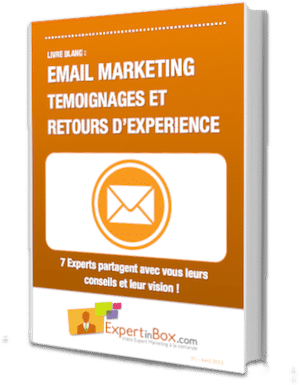 Livre Blanc : "Email Marketing : Témoignages et retours d'expérience" 6