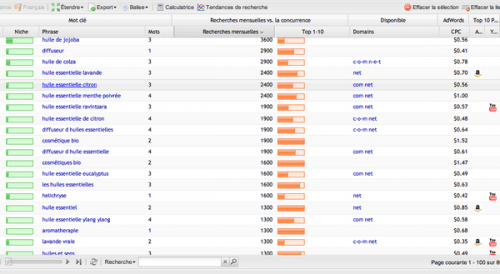 analyse SEO