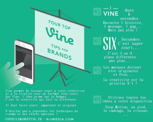 vine-infographie