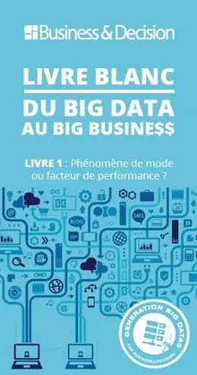 livre blanc bid data
