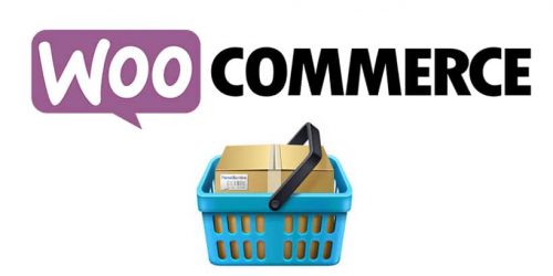 Comment vendre ebooks, formations, accès privés à un forum... Pensez à WooCommerce ! 11