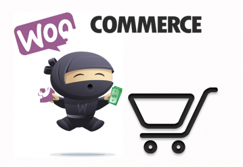 Comment vendre ebooks, formations, accès privés à un forum... Pensez à WooCommerce ! 6