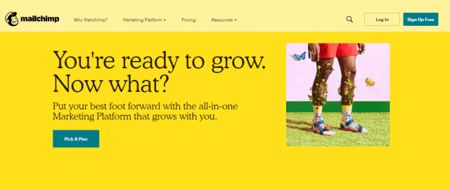 mailchimp