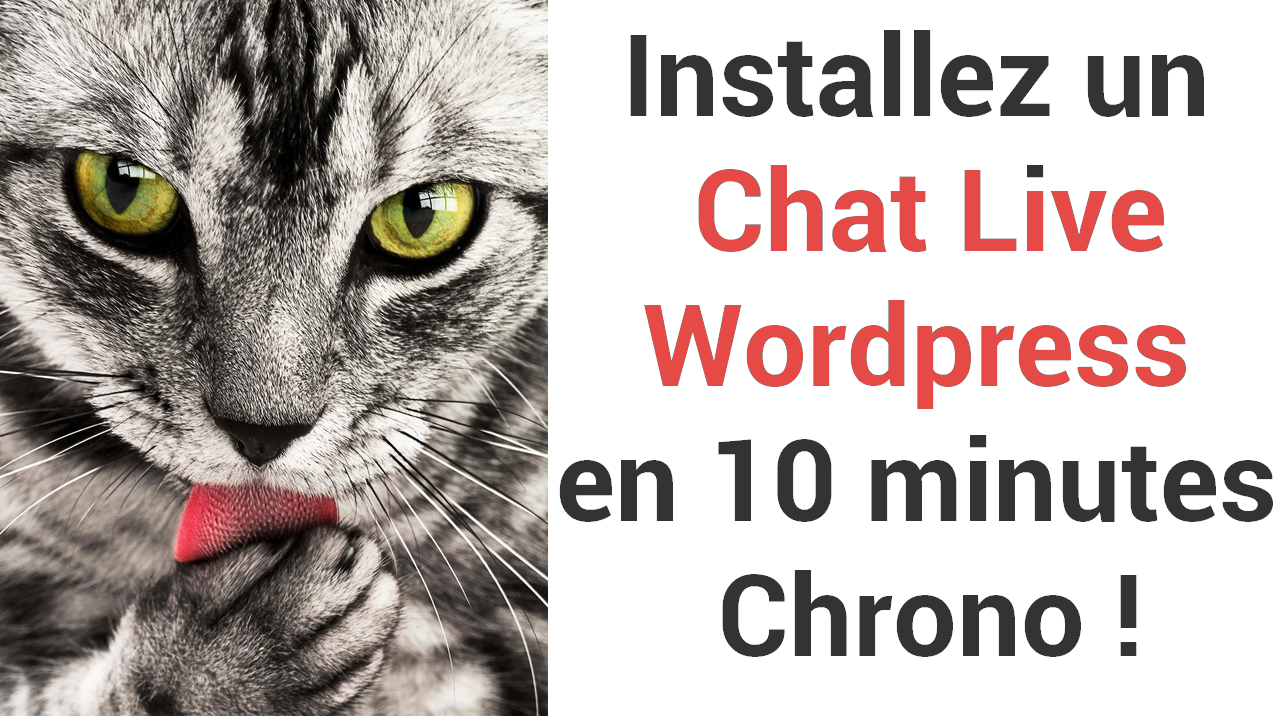 chat live wordpress