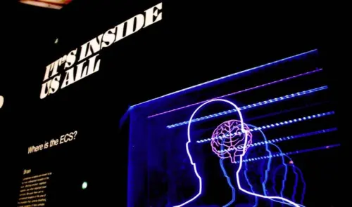 Le PsychoMarketing : une méthode imparable pour vendre, enchanter et fidéliser, cas pratique avec Europa Park ! 8