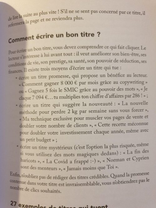 Le Guide du copywriting : les 5 meilleurs conseils de copywriting du livre de Sélim Niederhoffer 7