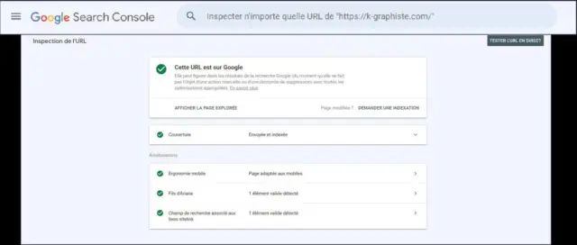 Google Search Console : Le mini guide pour référencer son site web ! 50