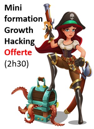 Comment réussir sa création d’entreprise grâce aux méthodes de growth hacking ? 13