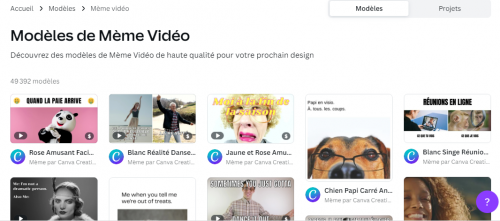 Comment créer un meme ? Le tuto pas à pas avec Canva 29