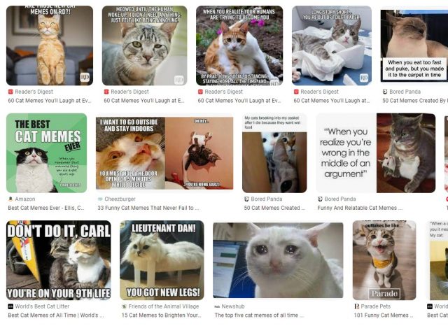 Comment créer un meme ? Le tuto pas à pas avec Canva 7
