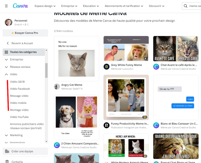 Comment créer un meme ? Le tuto pas à pas avec Canva 30